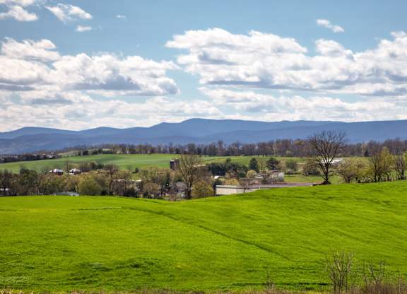 A green field with trees and mountains in the distance under a blue sky with clouds at The Mark Townhomes Apartments, Harrisonburg, VA