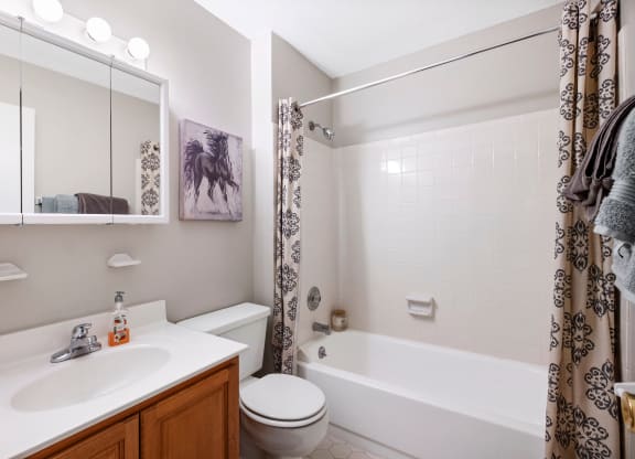 a bathroom with a sink toilet and bathtub
