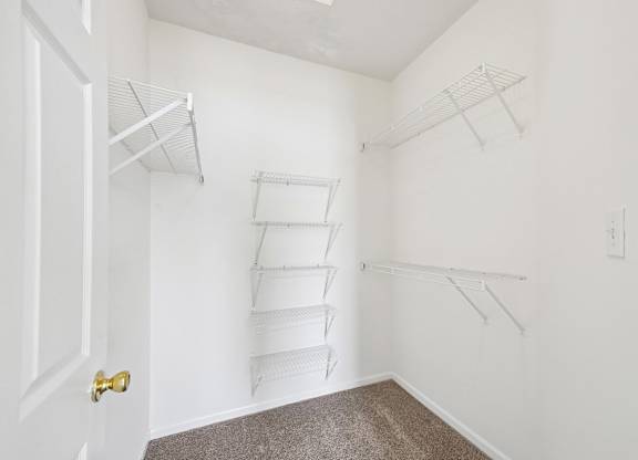 A white closet with shelves and a door.