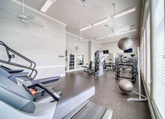 A gym with treadmills, weights, and exercise balls.