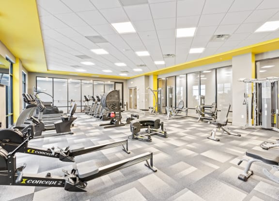 Fitness area at Pier 33 apartments at Pier 33 Apartments, Wilmington, NC, 28401