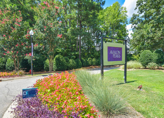 Avalon-Peaks-Apartments-Apex-NC-Sign-at-Entrance