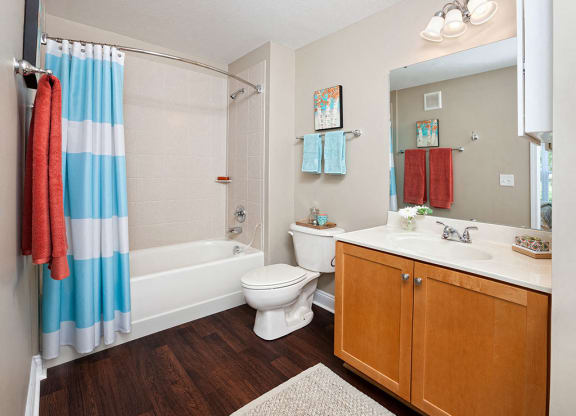 Bathroom at Smiths Landing Apartments in Blacksburg VA