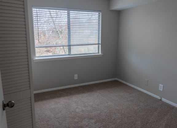an empty room with a window and carpet