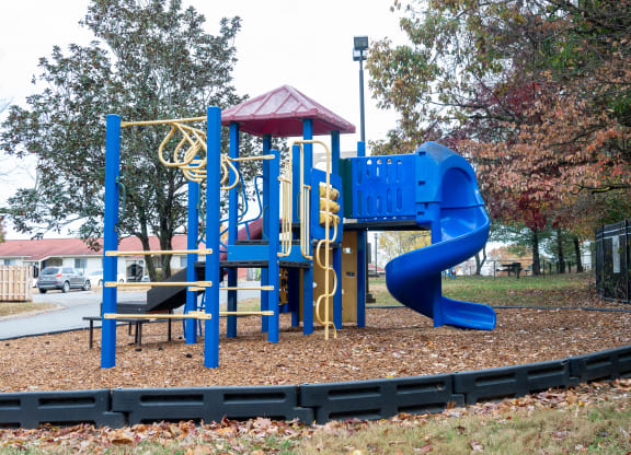 a playground at a park with a blue slide