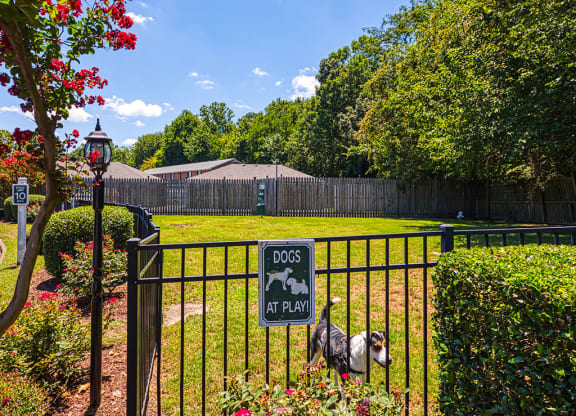 Dog Park at Holly Point Apartments in Chesapeake VA