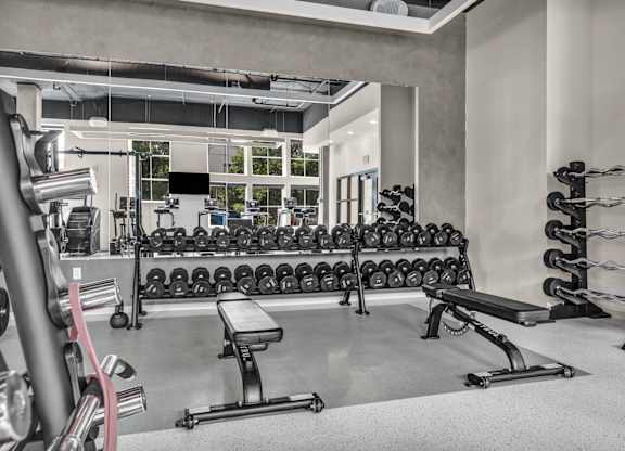 A gym with a variety of equipment including dumbbells, weight plates, and a bench press.