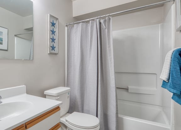 a bathroom with a shower and a sink and a toilet