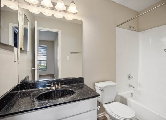 a bathroom with a sink and a toilet and a tub