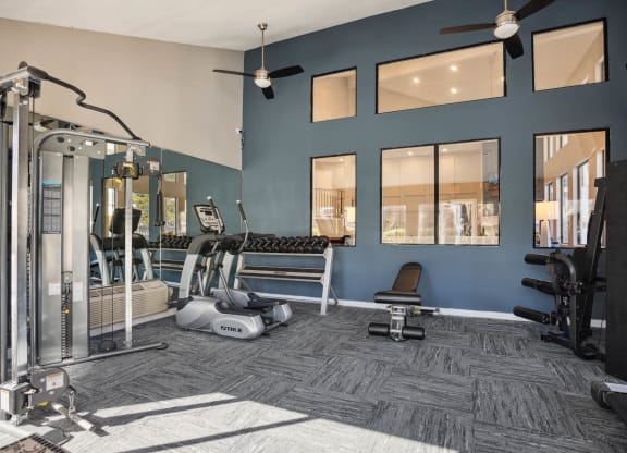 a gym with weights machines and windows