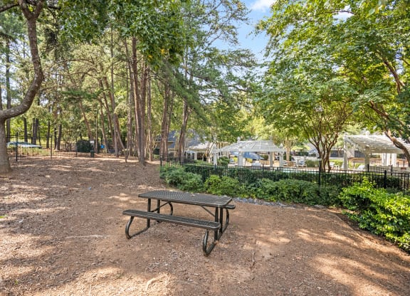 a picnic table in a park with trees