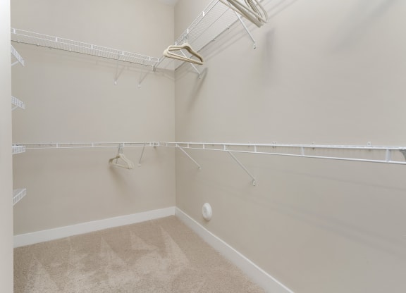 the preserve at ballantyne commons spacious walk in closets with shelves and racks at Hayden Lofts, Dublin, OH