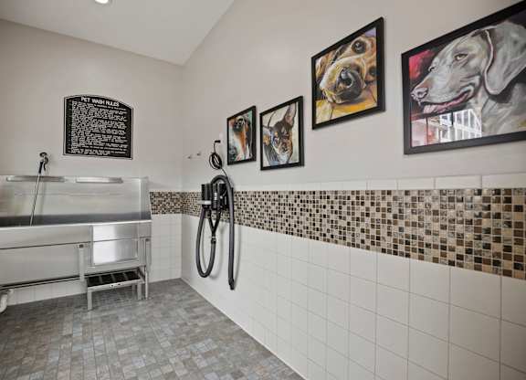 A dog grooming area with a sink and pictures of dogs on the wall.