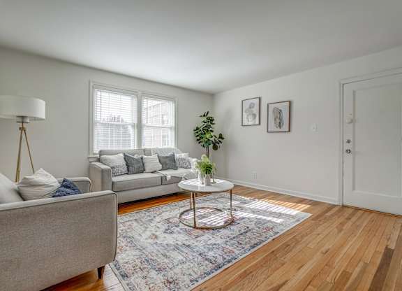 A living room with a grey couch, a white coffee table, and a rug.