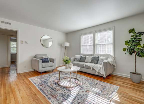 A living room with a grey couch, a round mirror, a rug and a potted plant.