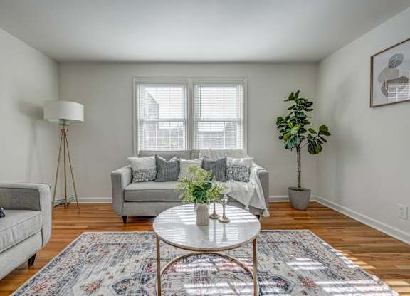 A living room with a grey couch, a white coffee table, and a rug.