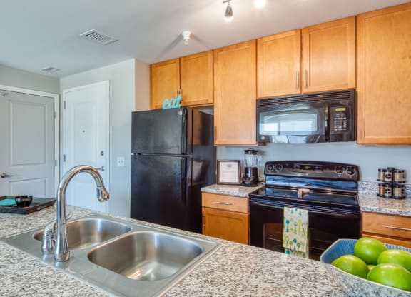 Kitchen 10 Liberty Apartments in  Newport News