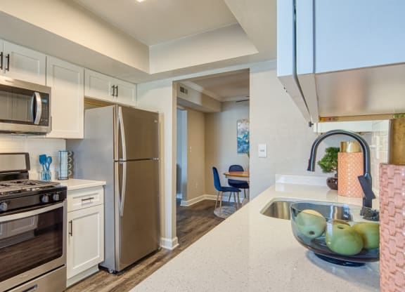 Kitchen 3 Coastline Apartments in Virginia Beach VA