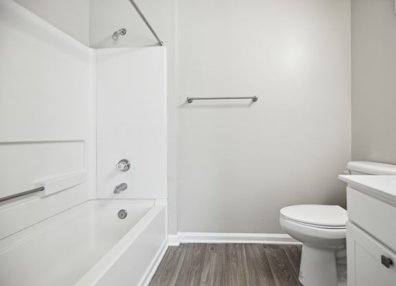 a bathroom with a toilet and a bathtub