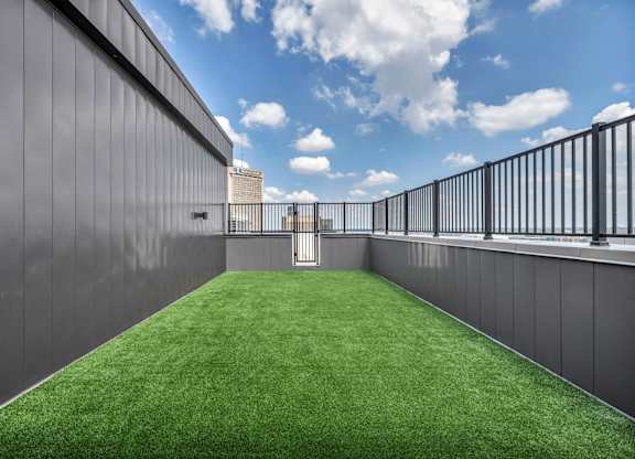 A small patch of grass sits between two grey walls.
