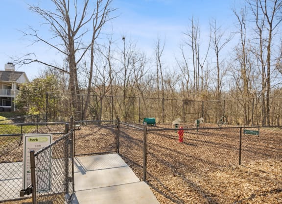the preserve at ballantyne commons dog park