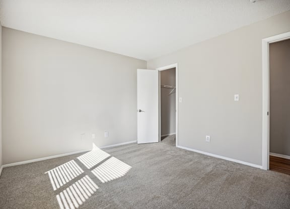 an empty room with carpet and a door to a closet