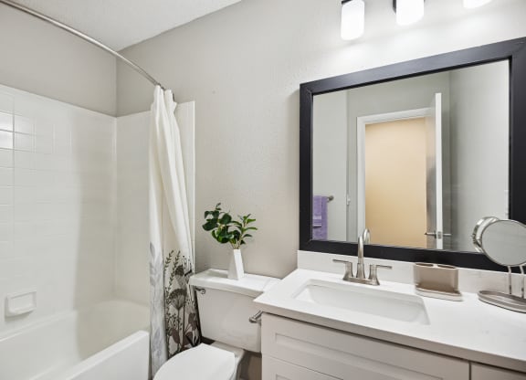 a bathroom with a sink and a mirror and a shower