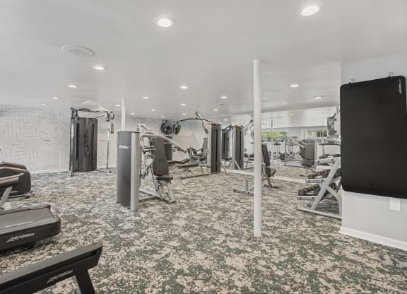 a gym with weights and cardio machines and a tv