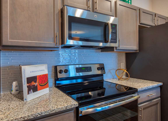 stove in Virginia Beach Apartments