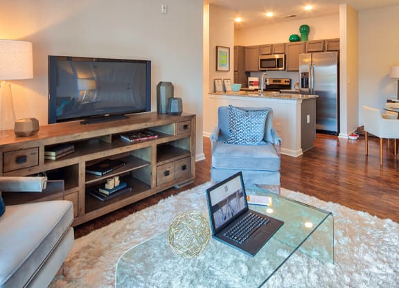 Living Room and TV at The Choices in Virginia Beach