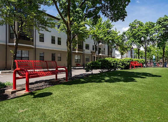 A red bench sits in the middle of a grassy area.
