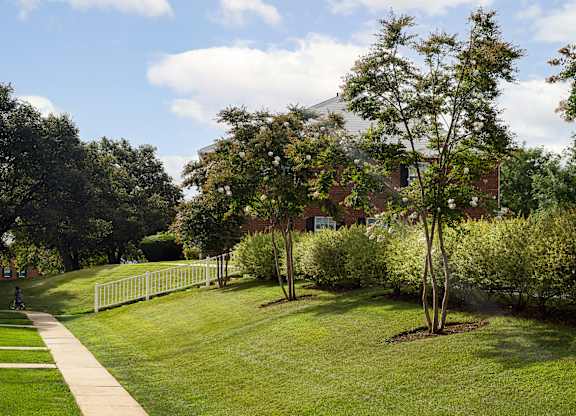 A green lawn with trees and a white fence.