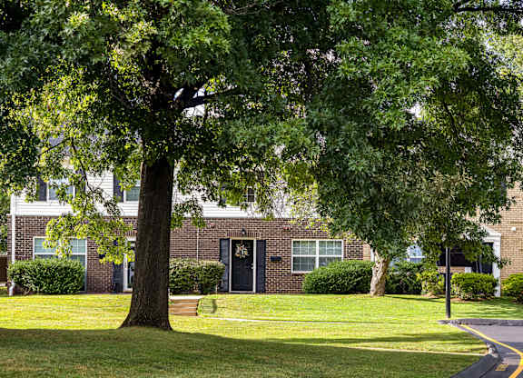 A tree in front of a building with a black door.