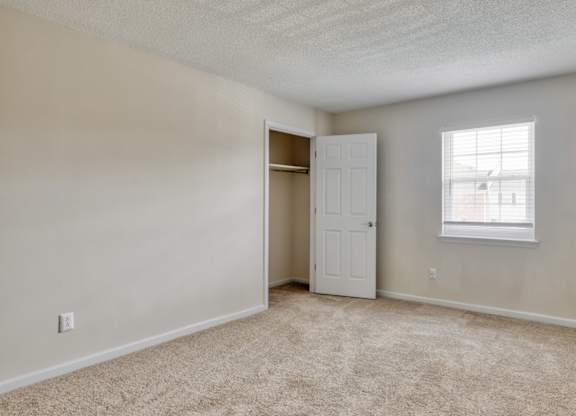 A room with a carpeted floor, a white door, and a window with blinds.