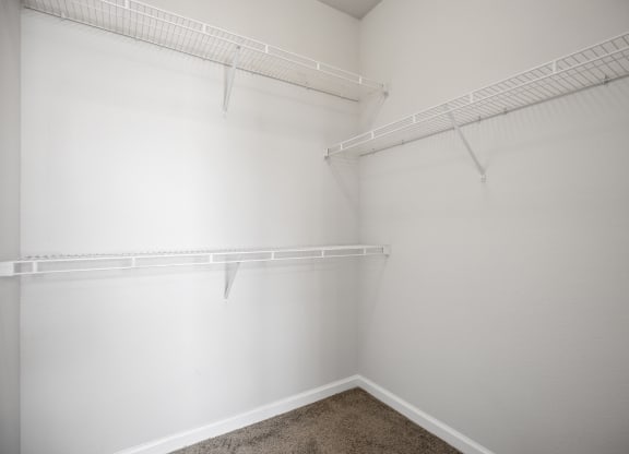 an empty closet with white walls and shelves and a carpet