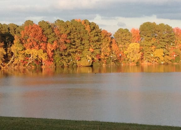 Old Donation Senior Apartments Lake