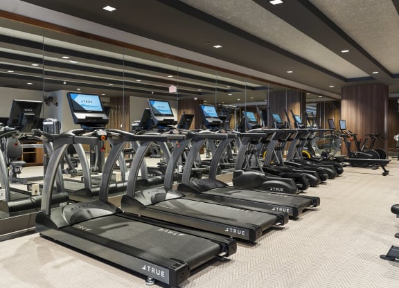 a row of treadmills in the gymat Preston Centre, Columbus Ohio