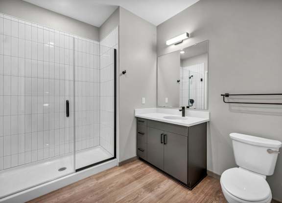 A modern bathroom with a walk-in shower, toilet, and sink.