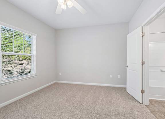 A room with a window, carpet, and a ceiling fan.
