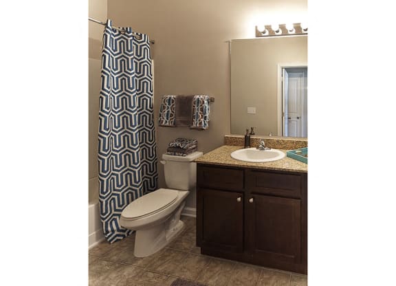 Vanity and toilet in Bathroom at Tyler's Ridge Apartments in Carthage, NC
