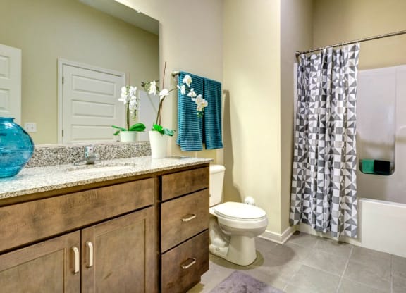 Bathroom of the Venture Apartments iN Tech Center in Newport News VA