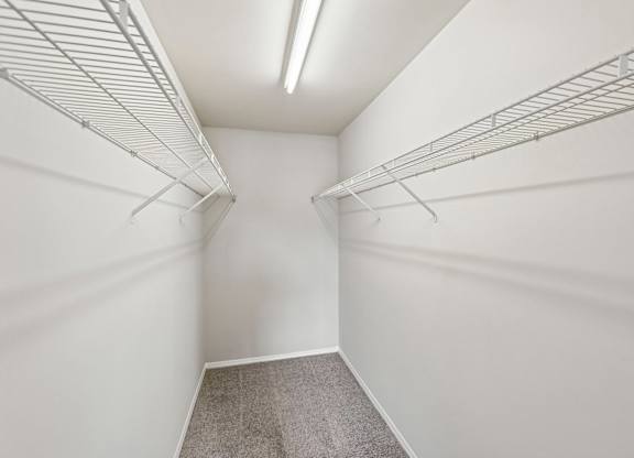 A white walk-in closet with shelving and a carpeted floor.