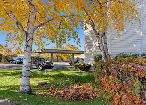 Green Lawn Area at Peaks on Pines, Spokane Valley, Washington
