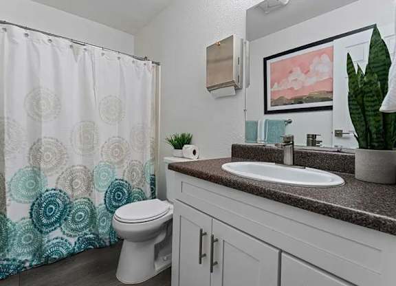 A bathroom with a toilet, sink, and shower curtain.