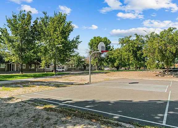 A basketball court with a hoop and trees in the background.