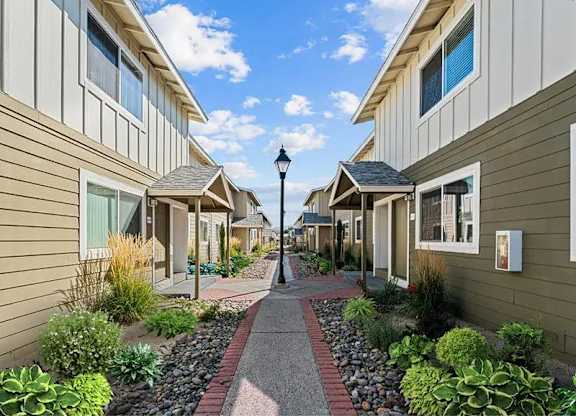 A street view of a residential area with houses on both sides and a lamp post in the middle.