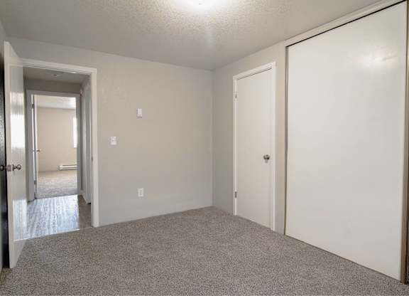 A room with two doors and a carpeted floor.