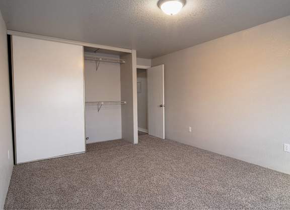 A room with a carpeted floor and a closet with a white door.