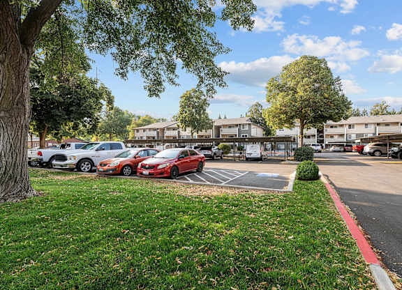 A parking lot with cars and trees.