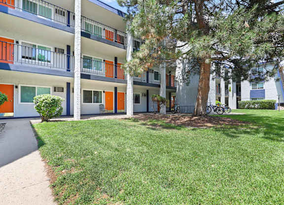 A tree is in front of a building with balconies.